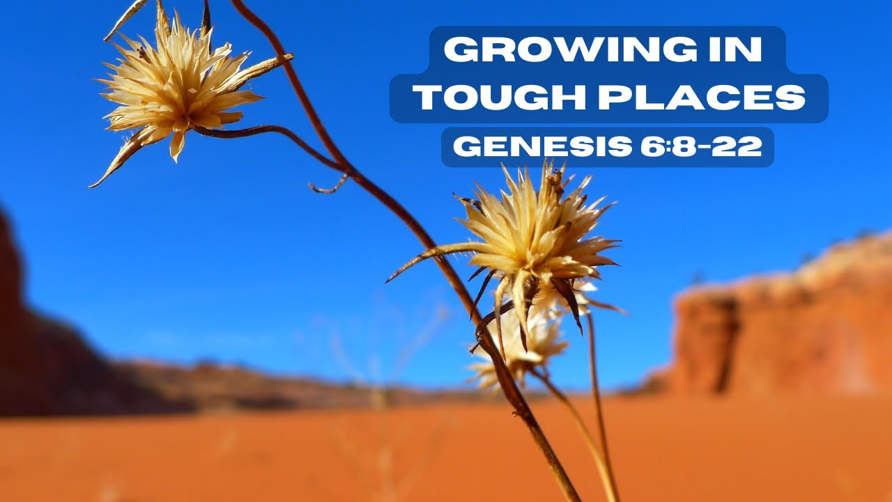Growing in Tough Places (Genesis 6:8-22)