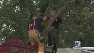 Strong winds blow down tree in Sioux City