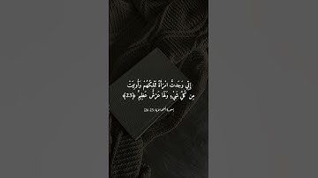 #سورة_النمل القارئ #اسلام_صبحي