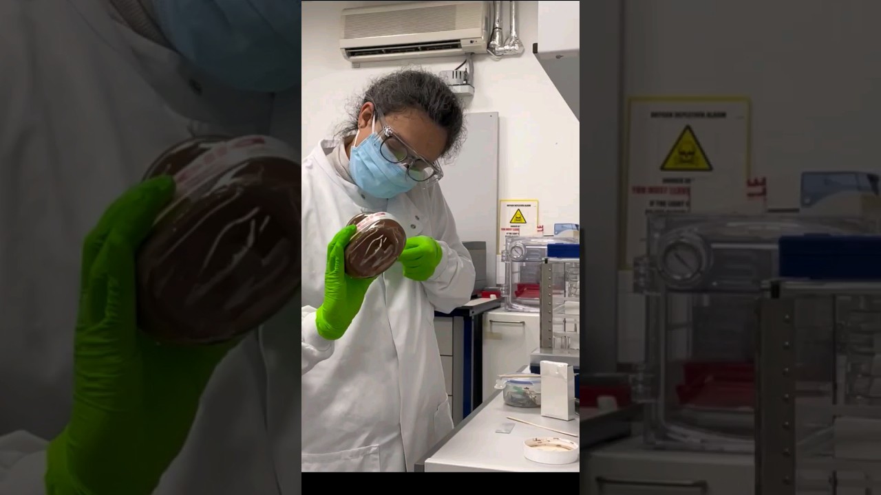 the battle of the dupes Aldi VS.. original 