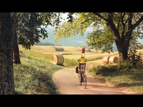 Ponti - Aceto