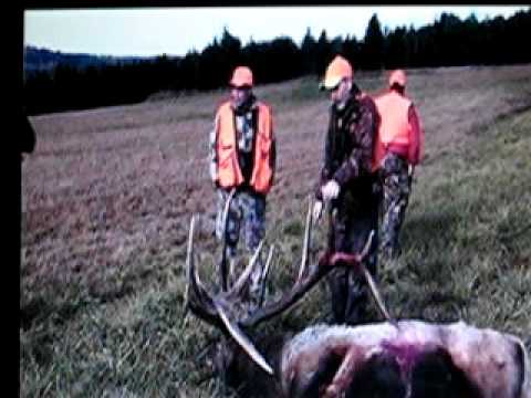 Pennsylvania Elk Hunt (kill scene) Elk Co. Outfitt...