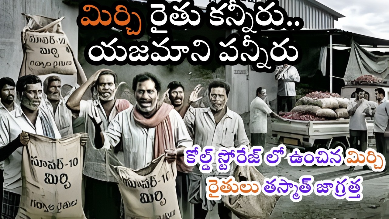 మిర్చి రైతు కన్నీరు..  యజమాని పన్నీరు కోల్డ్ స్టోరేజ్ లో ఉంచిన మిర్చి రైతులు తస్మాత్ జాగ్రత్త .