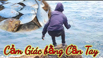 VUONG LT VLOG | câu cá biển | Nhà yến Nhơn lý gặp bầy cá chang _ cá dìa