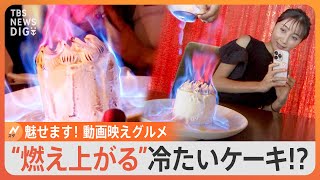 チーズがのび～るハンバーガーに「燃えるケーキ」見せて魅せます！“動画映えグルメ”の世界【Nスタ】