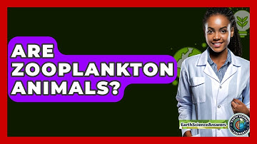 Are Zooplankton Animals? - Earth Science Answers