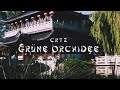 Cr7z  grne orchidee prod ptrck