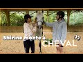 Shirine sur un cheval   a ne se passe pas comme prvu