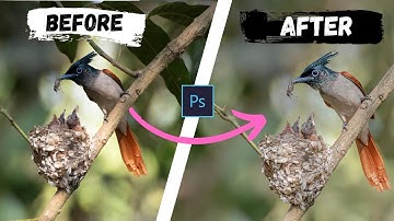 Master PHOTOSHOP Editing for Stunning Bird Photos