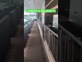 優雅に指定席です！ #大井競馬場