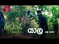 Sobadhara - Sri Lanka Wildlife Documentary | 2020-05-29 | Yala (යාල)