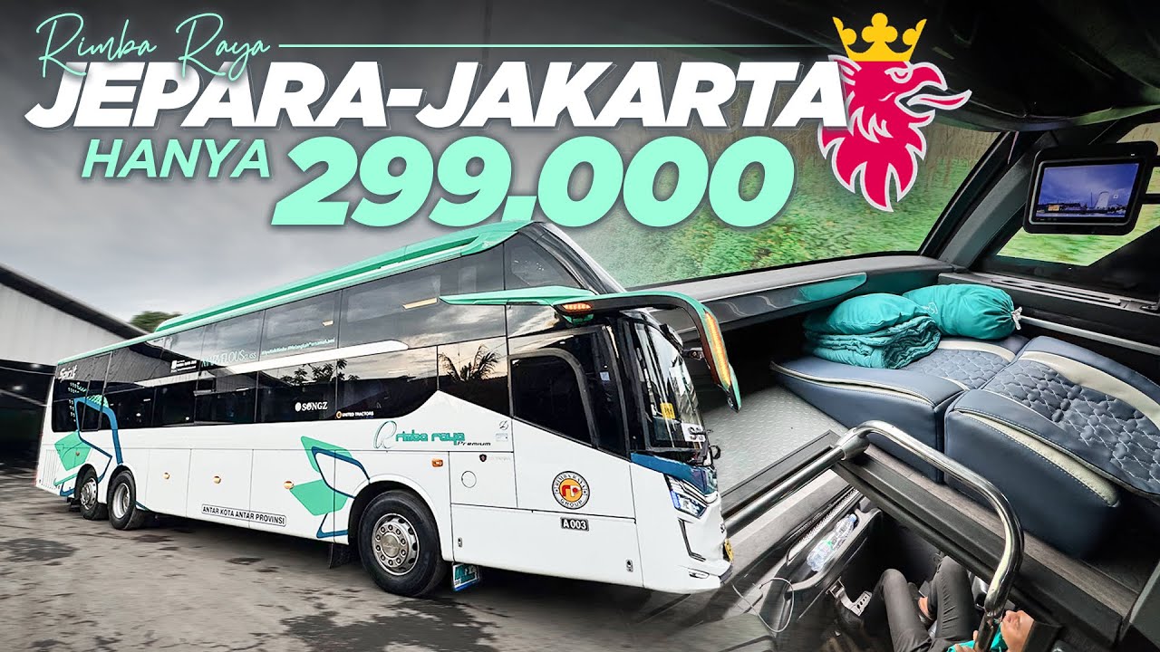 299 RIBU BISA NAIK TRONTON‼️ Trip Report Bus Rimba Raya Premium ...