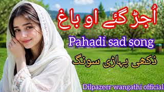 Ujar Gay O Bagh | Dilpazeer wangathi | Hindko Song | Hindko Dukhi Song | Hindko Heart Touching Song