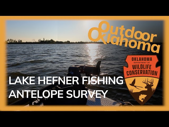 Watch Outdoor Oklahoma 4826 (William Tse at Hefner, Pronghorn Antelope Survey, Grand River Fish Rescue) on YouTube.