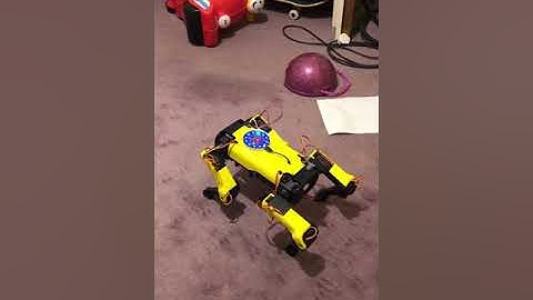 Quadruped creep gait (spotmicro)