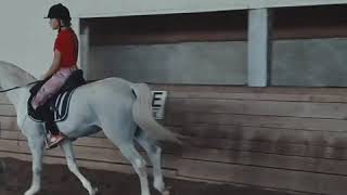 2020-2019 видео мой первый годик в конном спорте. КОННЫЙ КЛУБ ЯГУАР ДОНЕЦК!