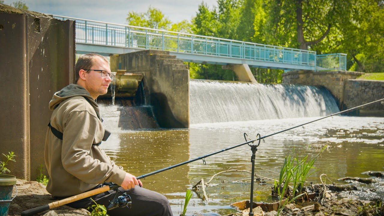 Místo pod jezem plné ryb! Feeder na malé řece.