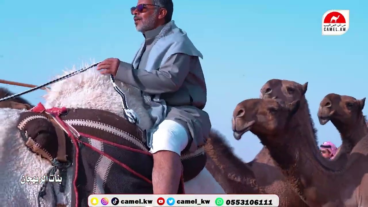 بنات الريهجان 🐪🔥منقية/ مبارك فهيد العاوي 