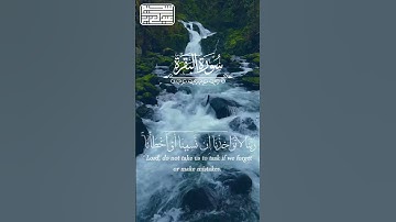 تلاوة تريح القلب من سورة البقرة - القارئ عبدالعزيز سحيم #اكسبلور