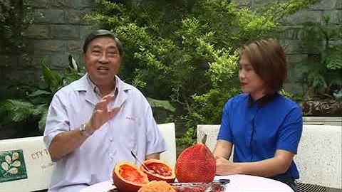 QUẢ GẤC - LY. NGUYỄN CÔNG ĐỨC