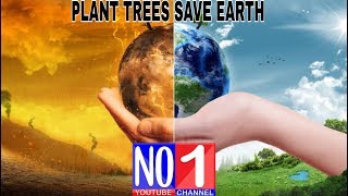 #KGF #NO1CHANNEL || PLANT TREES SAVE EARTH|| #GREENEARTH #PLANTTREES ||