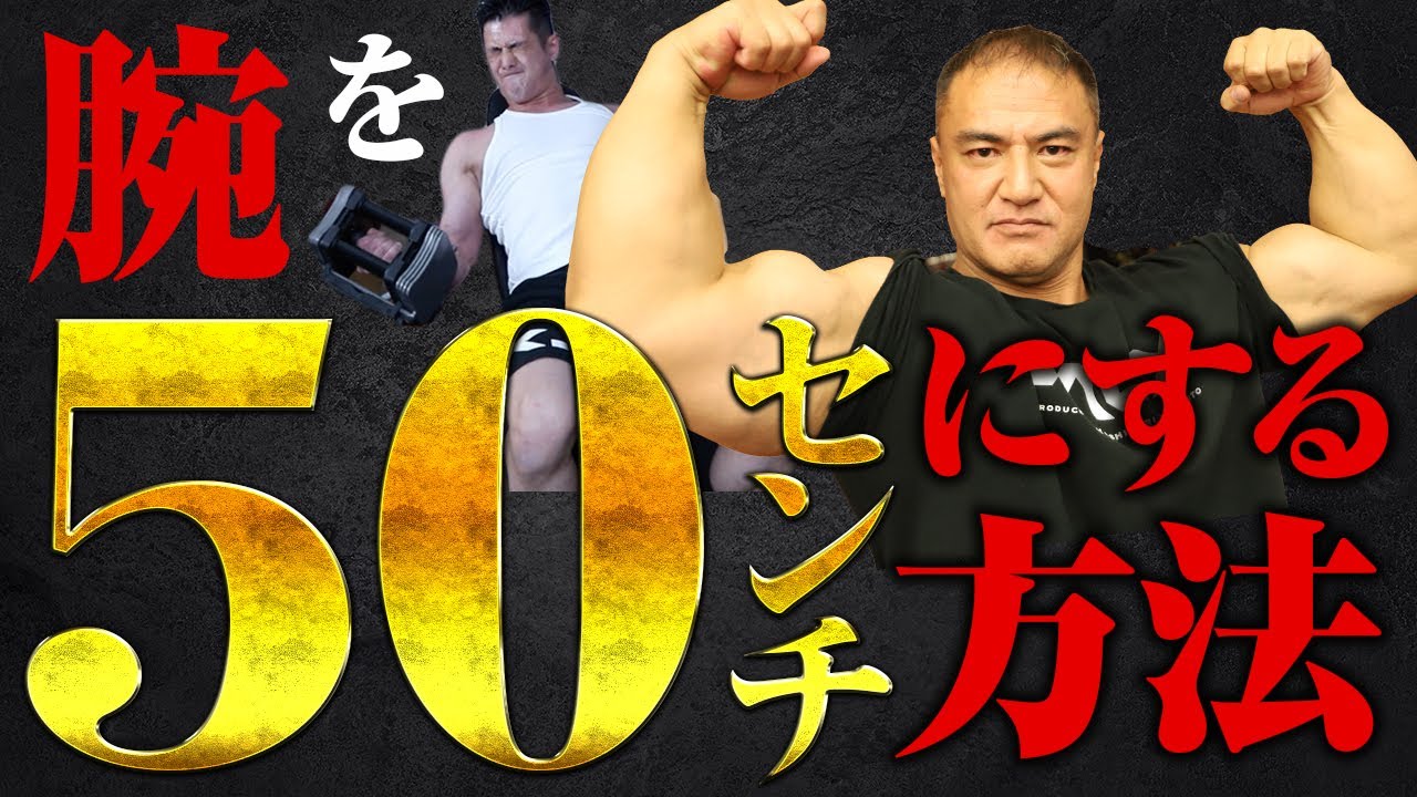 【腕トレ】たった1回でプラス2㎝！？50㎝の腕をつくるための最強プログラム【筋トレ】