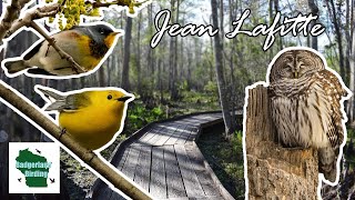 Birding Jean Lafitte National Historical Park and Preserve in New Orleans, Louisiana