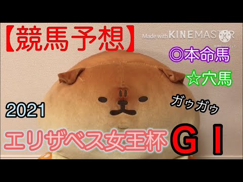 エリザベス女王杯2021【競馬予想】参考レース前追い切りで本命馬と穴馬結論!過去レース結果