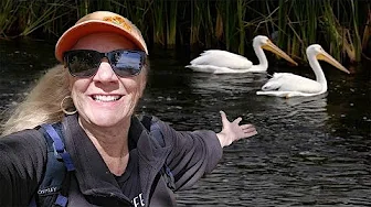 Discover Las Vegas's Hidden Oasis:  Clark County Wetlands Park
