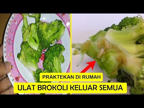 Resep Brokoli Goreng Tepung. 