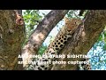 Leopard Sighting on Safari - Woman Photographer Captures amazing potrait photo during private Safari