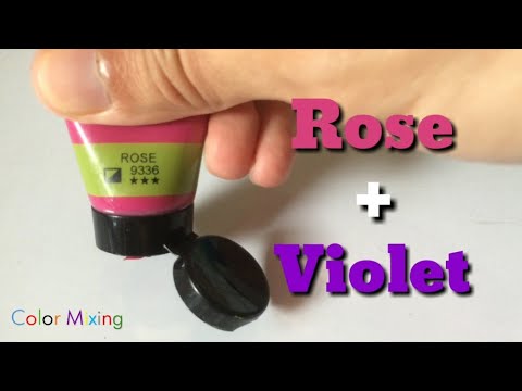 Color Mixing - Rose and Violet (Acrylic Paint)