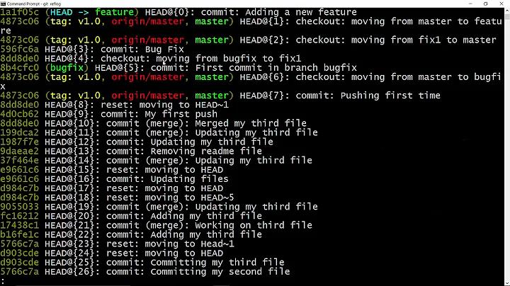 Git Fundamentals - Chapter 19 - How to recover deleted branches?