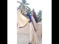 How To Pose In Saree | Different Poses In Saree | Simple And Elegant | Santoshi Megharaj