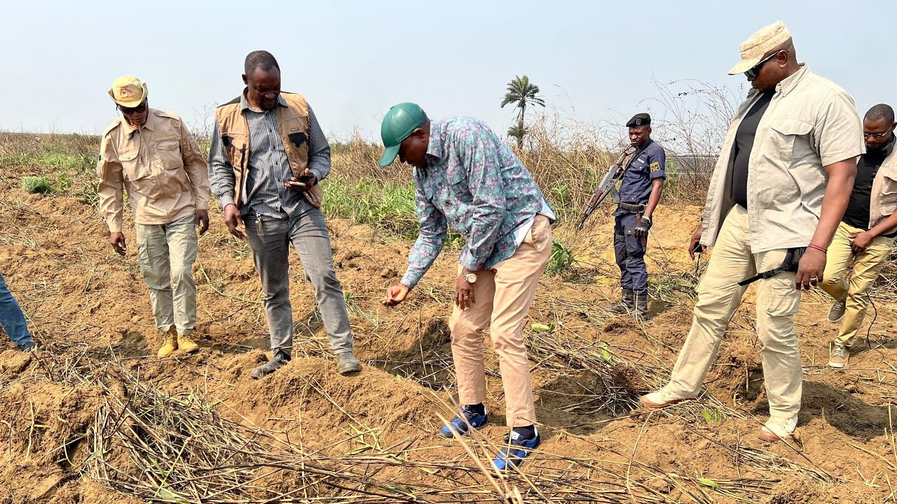 RDC : Agriculture/Visite de quelques sites agricoles de Maluku le cadre du projet Kinshasa kiamona