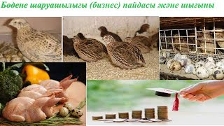 Светлана Чуйкина жалаңаш видео