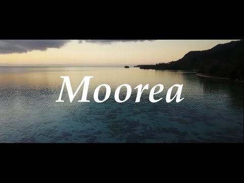 Video: Klaidingas Namo Kelias, Kurį Sukūrė Peteris Moore'as - „Matador Network“