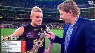 Last 41 seconds Richmond vs Essendon round 9 2015