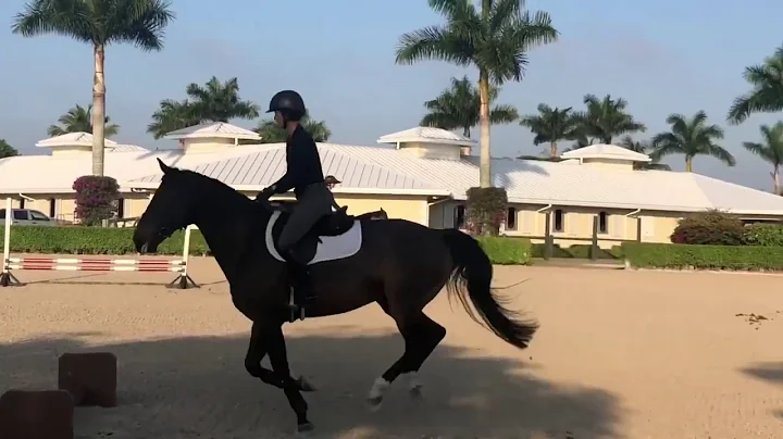 The Madden Method - (Another) Lesson with Beezie, ...