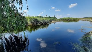 Пісню &quot;Вербонька&quot; виконує Сергій ГРІГА з с. Добра Криниця