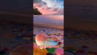 Good Morning  Animation   Nature