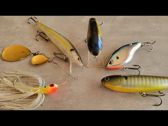 Top 5 Baits That Catch GIANT Smallmouth Bass! | Bass Fishing - YouTube