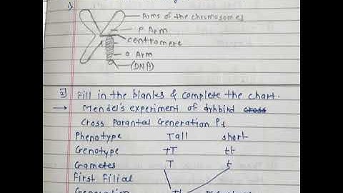 10std bridge course Science part 2 Test 1 Answers...