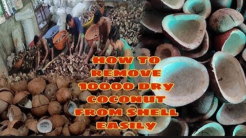 How to remove 10000 dry coconut from shell easily//Best way to remove coconut shell//#lakhibhai