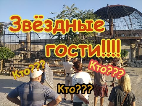 Звёздный гость в Зоопарке Васильевки!!!