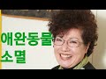 돌봄로봇 네트워크 포럼 세션별 하이라이트 영상