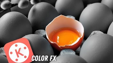 Color isolation effect editing on kinemaster. colour FX.