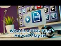 What is a VAG File? How to Play or Convert It?