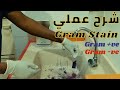شرح عملي لطريقة عمل صبغة جرام    