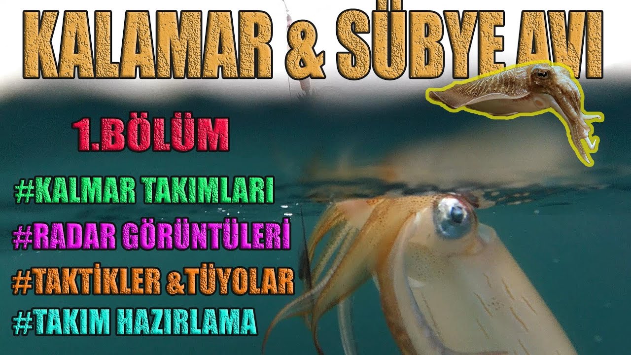 KALAMAR & SÜBYE AVINA  DAİR HER ŞEY...